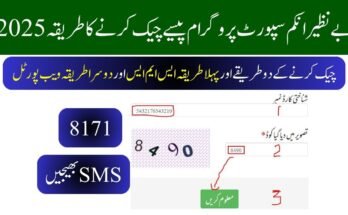 2025 بے نظیر انکم سپورٹ پروگرام پیسے چیک کرنے کا طریقہ