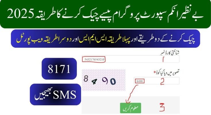 2025 بے نظیر انکم سپورٹ پروگرام پیسے چیک کرنے کا طریقہ