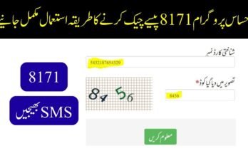 احساس پروگرام 8171 پیسے چیک کرنے کا طریقہ استعمال