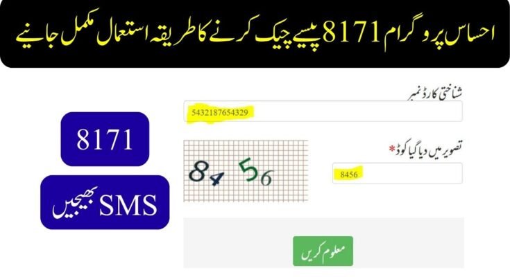 احساس پروگرام 8171 پیسے چیک کرنے کا طریقہ استعمال