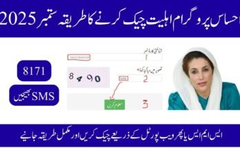 احساس پروگرام اہلیت چیک کرنے کا طریقہ