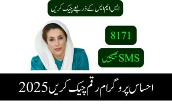 احساس پروگرام رقم چیک کریں