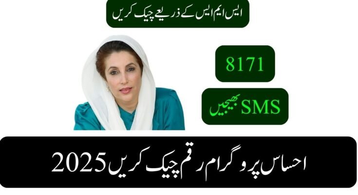 احساس پروگرام رقم چیک کریں