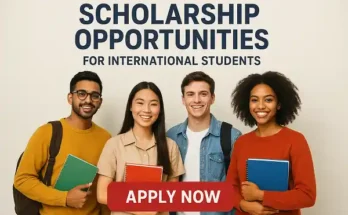 Scholarship opportunities for international students